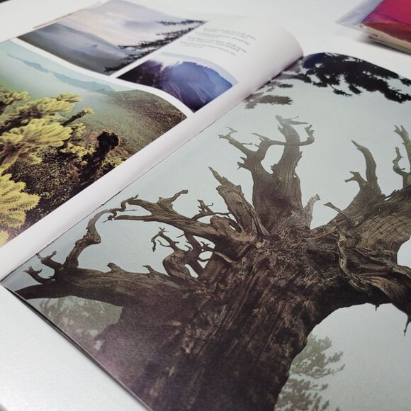 Arizona Highways Artwork Magazine March 1976 Vintage History Weather Seasons Ice - Picture 10 of 11